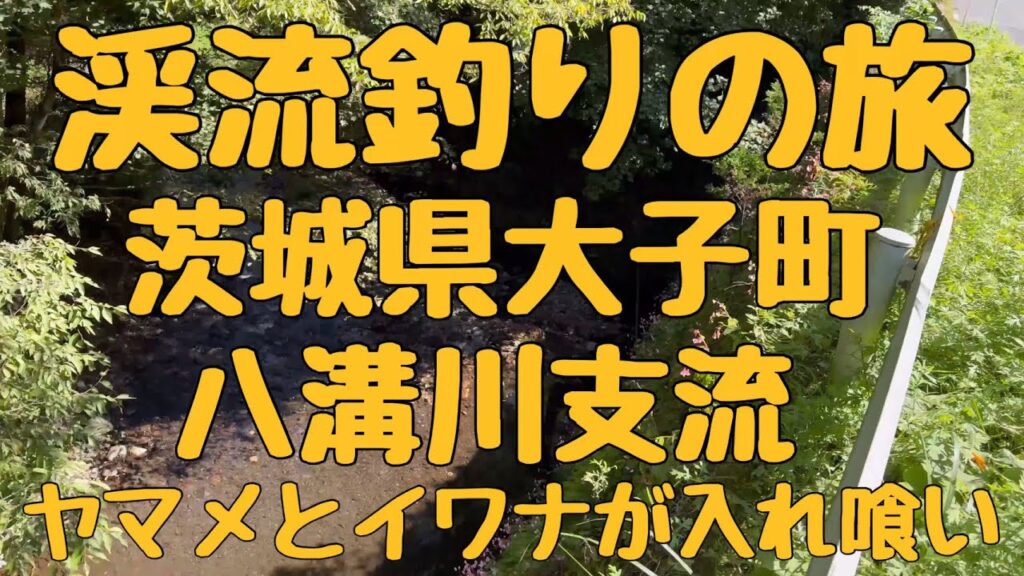 渓流釣りの旅　茨城県大子町　久慈川水系の八溝川支流　激渋シチュエーションで最後に入れ喰い