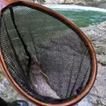 【会津渓流釣り】秘境の奥地から遂に４０オーバーの岩魚が出現‼