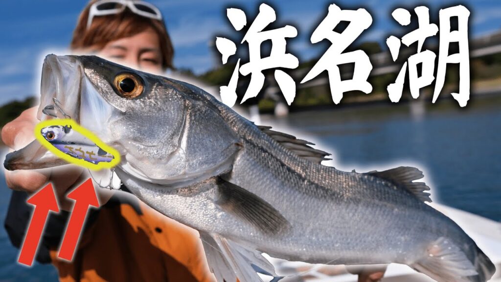 【秋の浜名湖】シーバス狙うには..あのルアーが良すぎた件