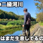 昔は【大阪の釣り場紹介】でも載っていた川、現在もバス釣りを楽しめるのか調査してみた