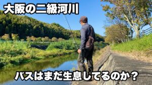 昔は【大阪の釣り場紹介】でも載っていた川、現在もバス釣りを楽しめるのか調査してみた