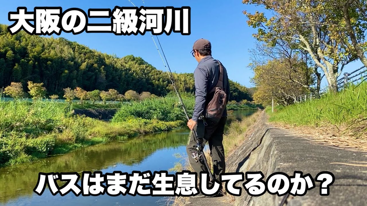 昔は【大阪の釣り場紹介】でも載っていた川、現在もバス釣りを楽しめるのか調査してみた