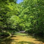 かがやく渓の釣り【フライフィッシング】最盛期を迎えた渓流【越後】