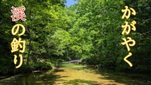 かがやく渓の釣り【フライフィッシング】最盛期を迎えた渓流【越後】