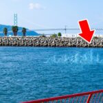 【奇跡】青物が大量発生中、スーパーナブラ発生！ルアーを投げ入れると巨大魚が襲い掛かってきました。今この場所で釣れています！！