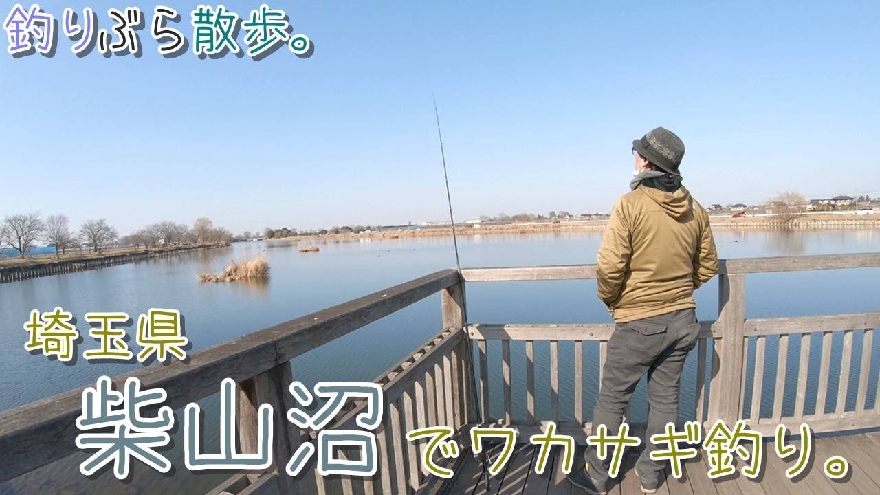 【小物釣り】埼玉県 柴山沼でワカサギ釣り。【淡水】 料理もしました~♪