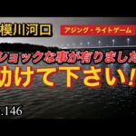 【相模川河口】魚ちゃん🐟湧いてました👍だけど💦力を貸して下さい😭