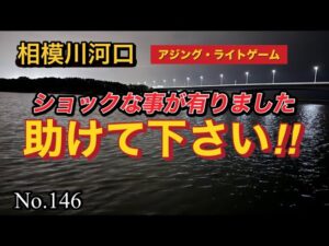 【相模川河口】魚ちゃん🐟湧いてました👍だけど💦力を貸して下さい😭