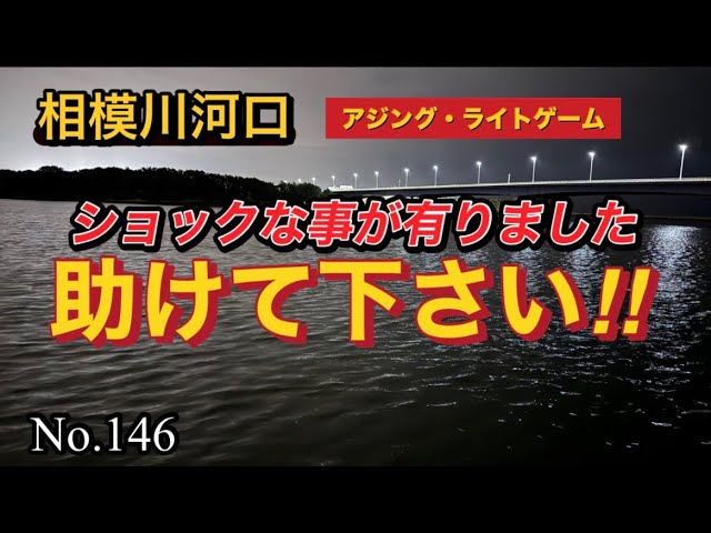 【相模川河口】魚ちゃん🐟湧いてました👍だけど💦力を貸して下さい😭