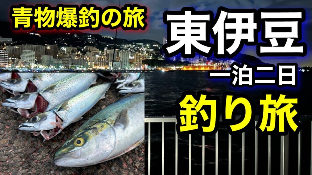 【静岡釣り旅】堤防で青物が大爆釣!!夜釣りでまさかの青物が掛かって興奮しすぎた‼︎