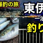【静岡釣り旅】堤防で青物が大爆釣!!夜釣りでまさかの青物が掛かって興奮しすぎた‼︎