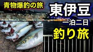 【静岡釣り旅】堤防で青物が大爆釣!!夜釣りでまさかの青物が掛かって興奮しすぎた‼︎