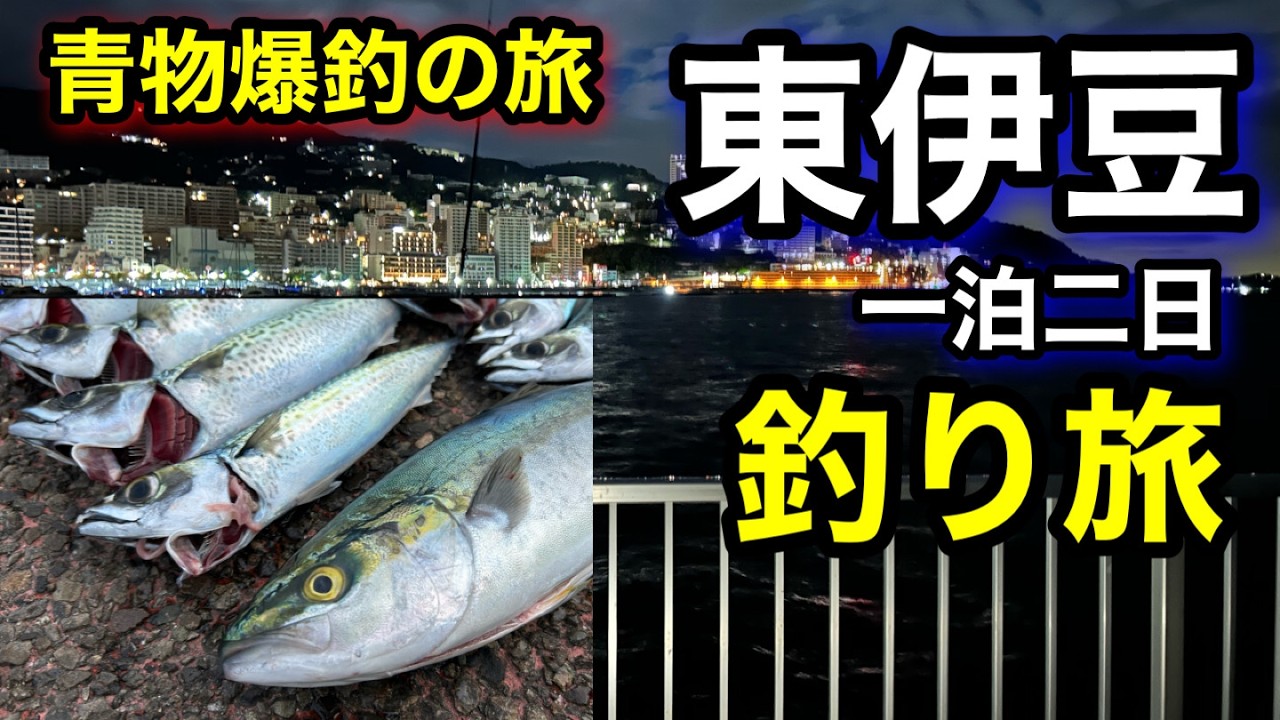 【静岡釣り旅】堤防で青物が大爆釣!!夜釣りでまさかの青物が掛かって興奮しすぎた‼︎