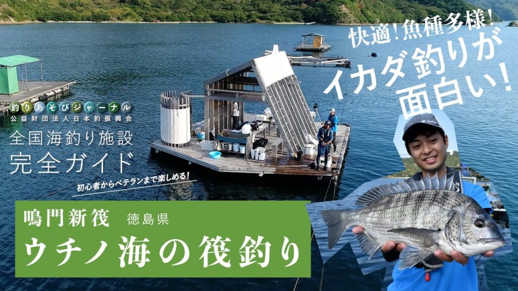 釣り場の実力検証！快適＆魚種多様！イカダ釣りが面白い。【徳島・ウチノ海の筏釣り】