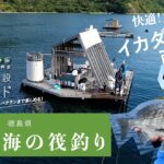 釣り場の実力検証！快適＆魚種多様！イカダ釣りが面白い。【徳島・ウチノ海の筏釣り】