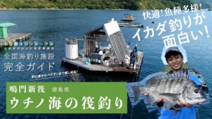 釣り場の実力検証！快適＆魚種多様！イカダ釣りが面白い。【徳島・ウチノ海の筏釣り】
