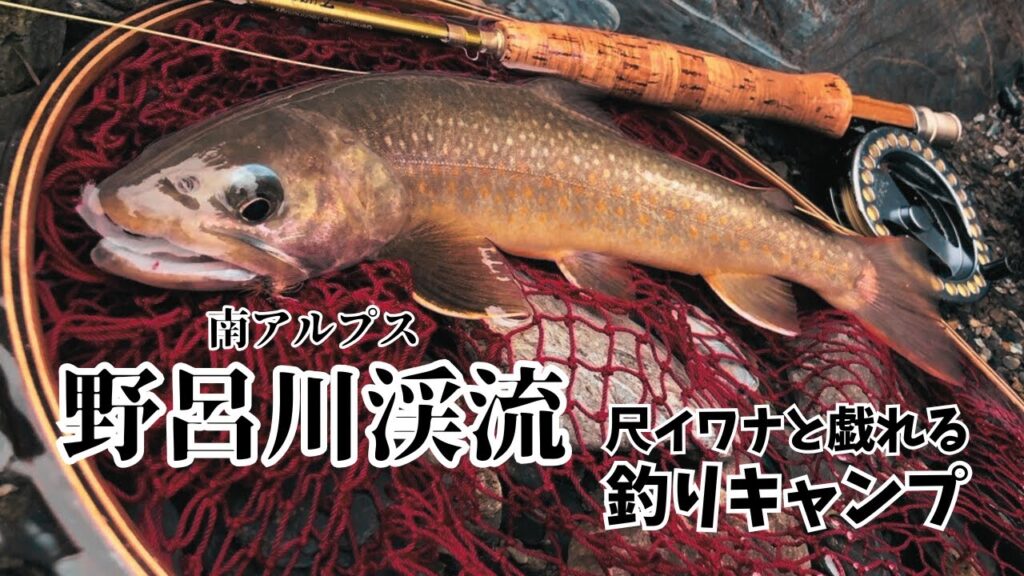 南アルプスのヤマトイワナ・野呂川渓流釣りキャンプ