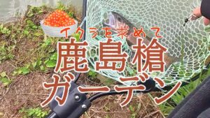 イクラを求めて鹿島槍ガーデン(管理釣り場、エリアトラウト、管釣り初心者)