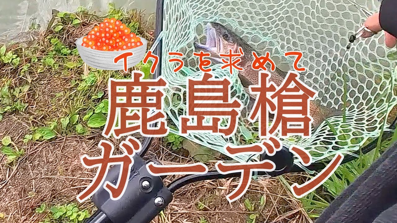 イクラを求めて鹿島槍ガーデン(管理釣り場、エリアトラウト、管釣り初心者)