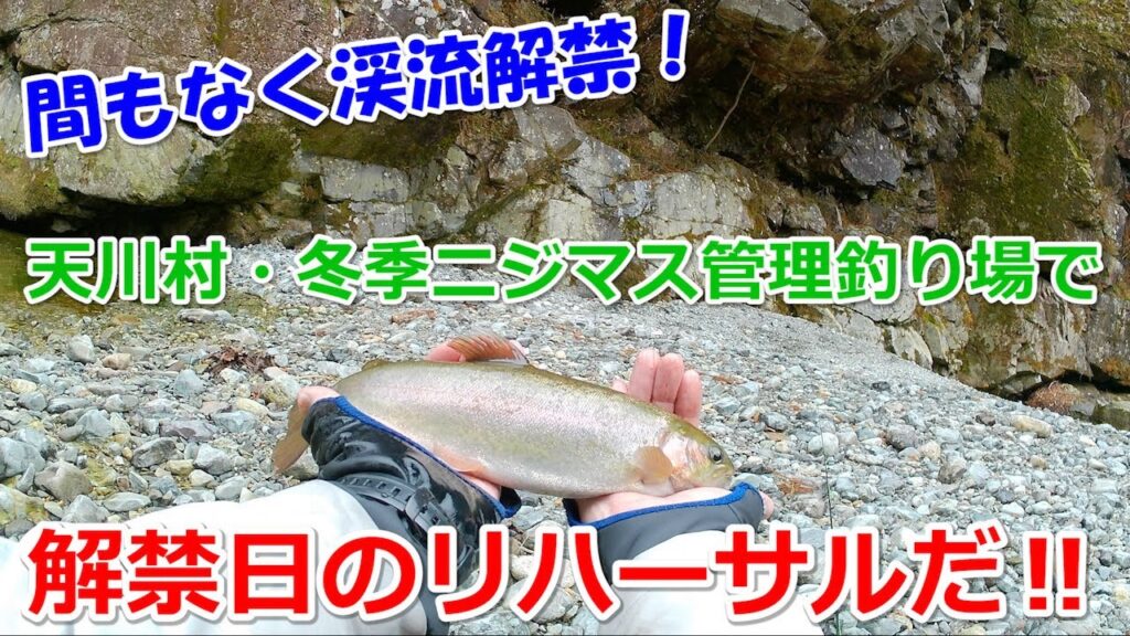 天川村冬季ニジマス管理釣り場で解禁日のリハーサルだ‼