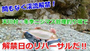 天川村冬季ニジマス管理釣り場で解禁日のリハーサルだ‼