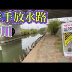激スレ水路に新作ルアーを投げてみた 【埼玉バス釣り】 おかっぱり 幸手放水路
