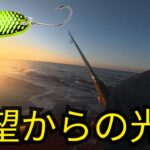 【絶望】朝イチ遠州灘サーフ大敗北... → 諦めかけた夕方、謎の激安スプーンで"まさかの魚"連発！