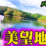 今、超話題のフィールドで秋バス連発！【三河湖】【バス釣り】【シャーベットヘアーチャンネル】【遠征】