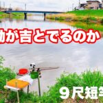 【ヘラブナ釣り】びん沼後編・・・移動後サイズアップなるか！？