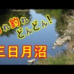 三日月沼はどんどん釣れる。楽しいナ♪【東松山市】