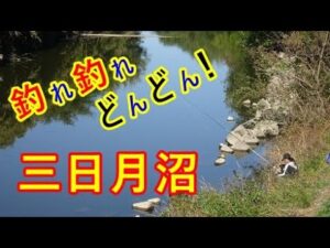 三日月沼はどんどん釣れる。楽しいナ♪【東松山市】