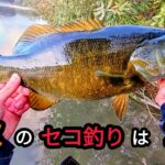 【川スモール】晩秋に効くセコ釣りはコレ！【バス釣り】