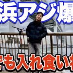 【大黒ふ頭西緑地】横浜で必ずアジが爆釣する日がある！初心者が入れ食いを経験するためのポイントも徹底解説