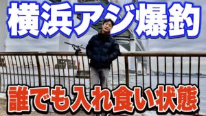 【大黒ふ頭西緑地】横浜で必ずアジが爆釣する日がある！初心者が入れ食いを経験するためのポイントも徹底解説