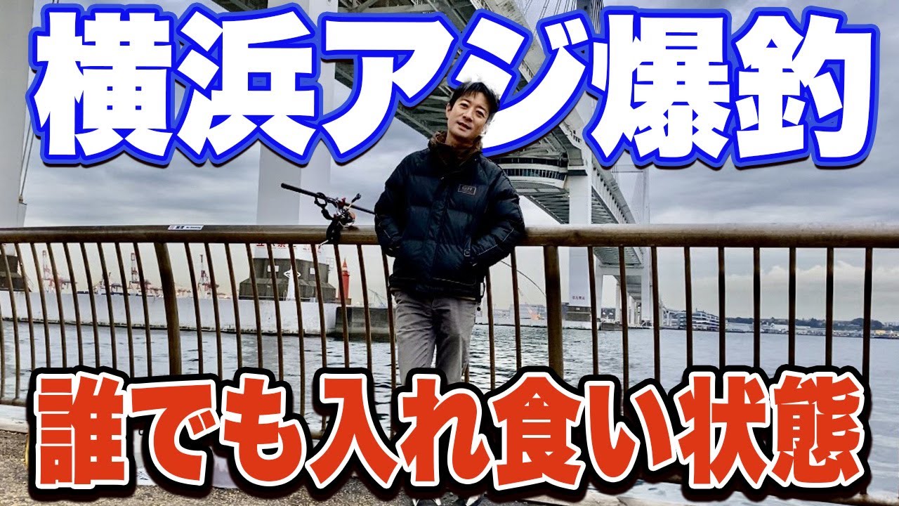 【大黒ふ頭西緑地】横浜で必ずアジが爆釣する日がある!初心者が入れ食いを経験するためのポイントも徹底解説