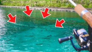 再オープンした"あの釣り場"は相変わらず大型サーモンの巣窟でした...【エリアトラウト】【管理釣り場】【パインレイク鹿留】