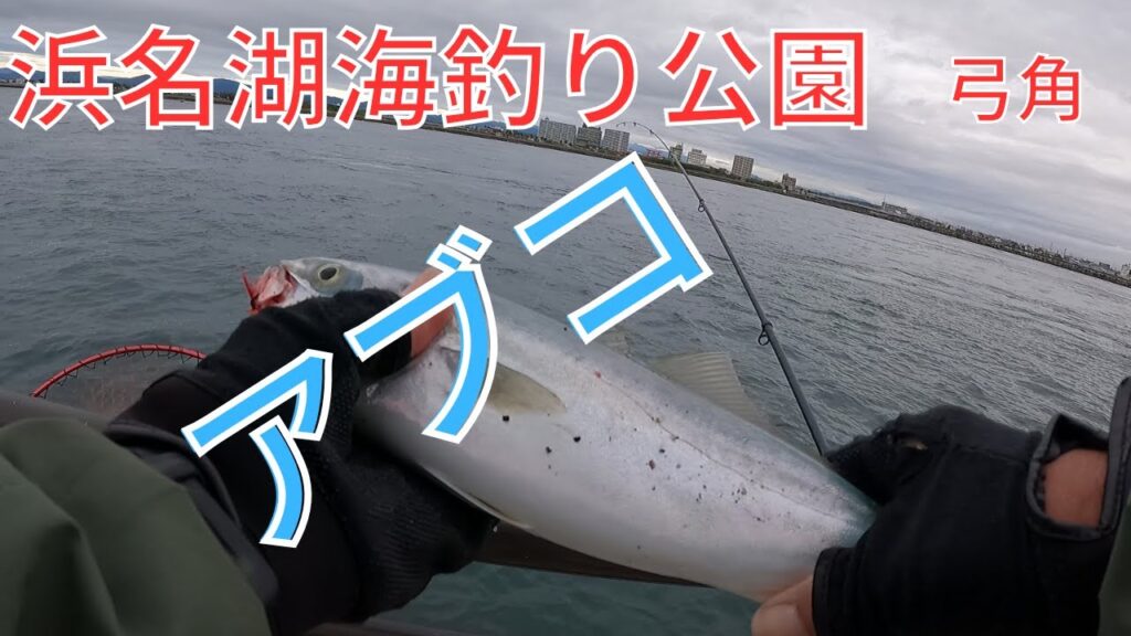 海釣り公園で青物釣り