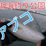 海釣り公園で青物釣り