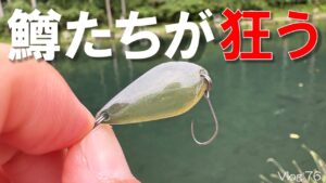 【エリアトラウト】鱒を狂わすこのルアーがヤバかった…【小菅トラウトガーデン】