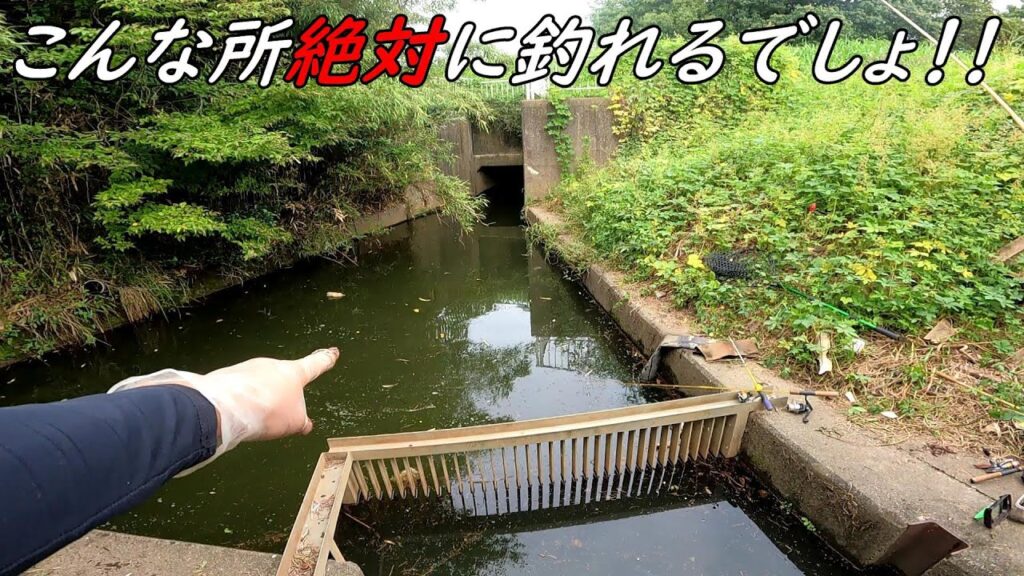 種類が豊富で小物から大物まで釣れて楽し過ぎた