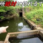 種類が豊富で小物から大物まで釣れて楽し過ぎた