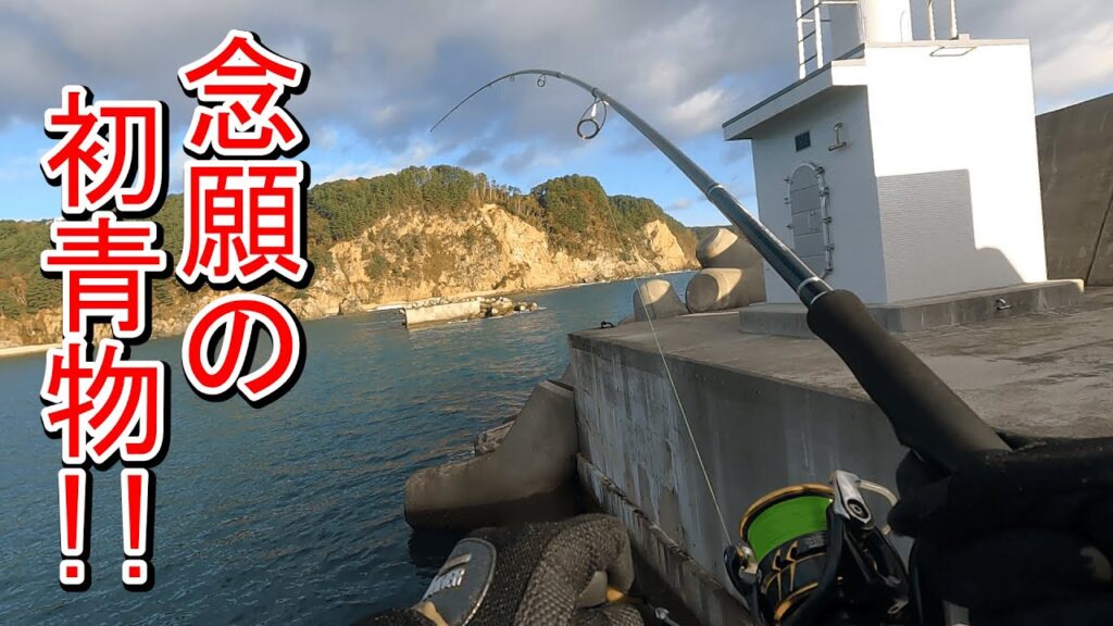 【海釣り】何日目で釣れる！？ショアジギング初心者が初めての青物を釣るまで！