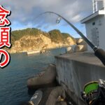 【海釣り】何日目で釣れる！？ショアジギング初心者が初めての青物を釣るまで！