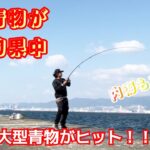 今大型青物釣りたいならこの堤防に！内海外海どちらでも釣れる最強沖堤防！　　　　　武庫川一文字　　アジュール舞子　神戸空港ベランダ　ショアジギング