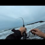 浜名湖今切口鳥山が凄い事に…そしてルアーを投げてみたら🐟️【浜名湖遠州サーフ】🎣