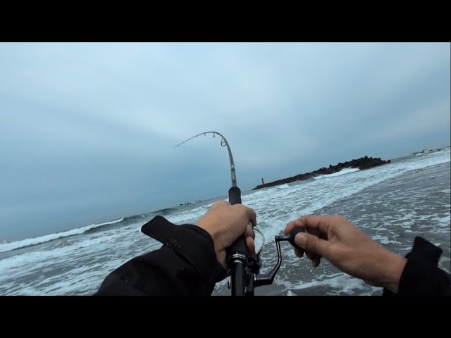 浜名湖今切口鳥山が凄い事に…そしてルアーを投げてみたら🐟️【浜名湖遠州サーフ】🎣