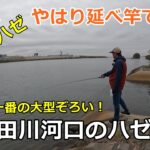 七北田川河口のハゼ釣り / ハゼ釣り場調査 / 貞山運河探索 / 秋の風物詩 ・ 宮城のハゼ釣り / 小物釣り