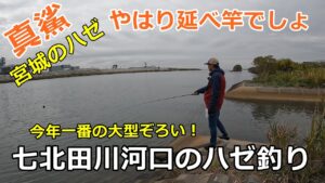 七北田川河口のハゼ釣り / ハゼ釣り場調査 / 貞山運河探索 / 秋の風物詩 ・ 宮城のハゼ釣り / 小物釣り