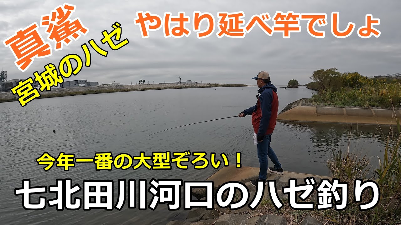 七北田川河口のハゼ釣り / ハゼ釣り場調査 / 貞山運河探索 / 秋の風物詩 ・ 宮城のハゼ釣り / 小物釣り