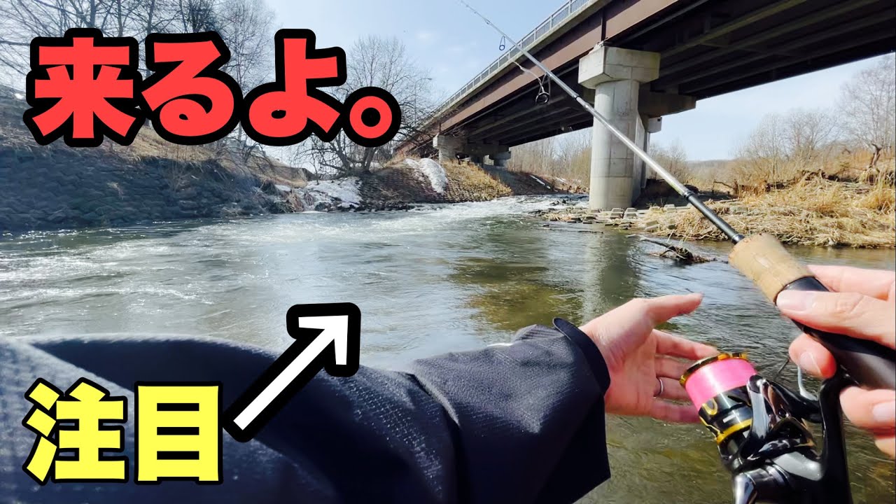 ウソだろ⁈デカっ!北海道の街中の川で釣れた巨大魚?!半年ぶりのルアーフィッシング